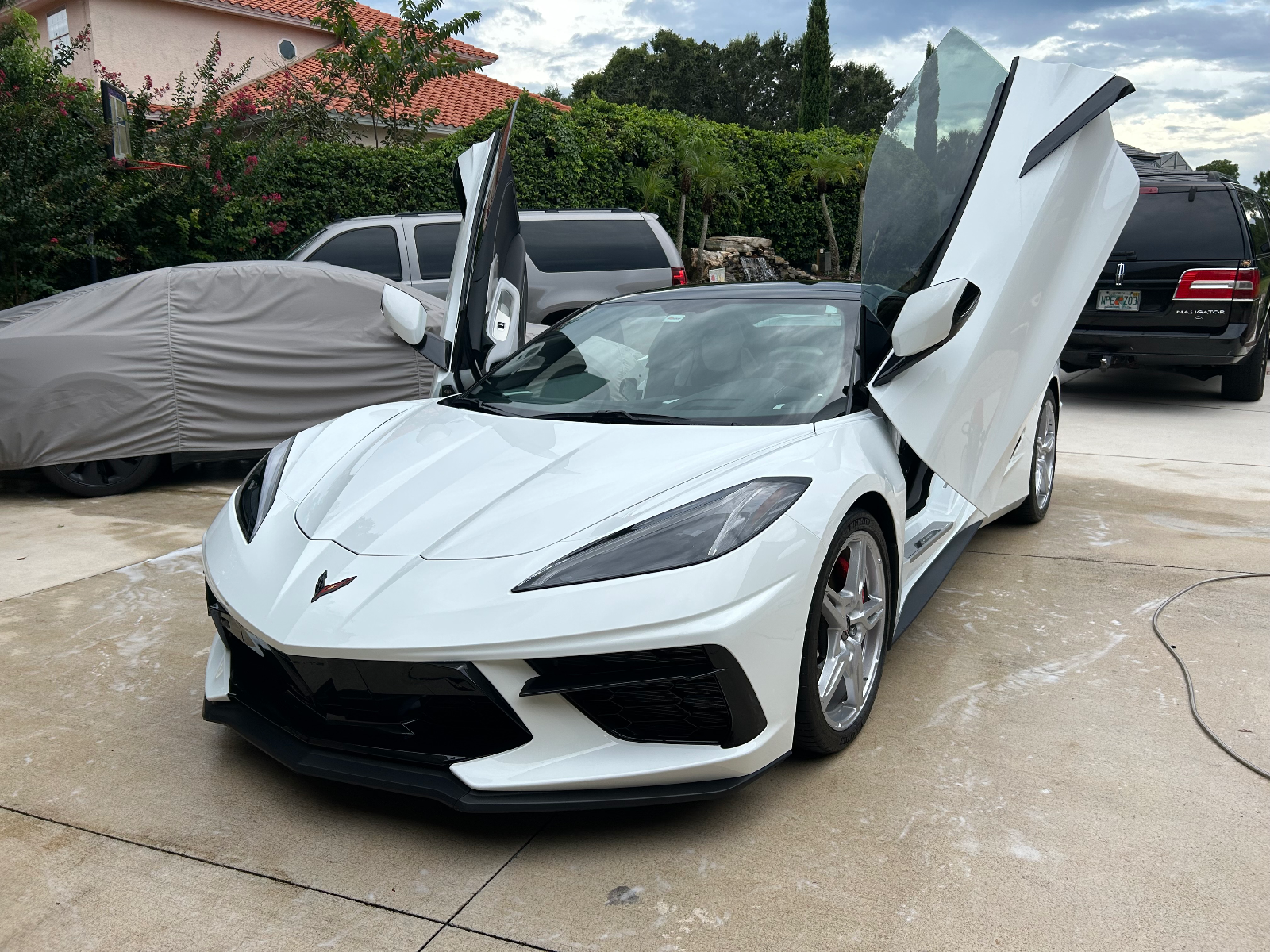 Asante Car Detailing project photo from Orlando